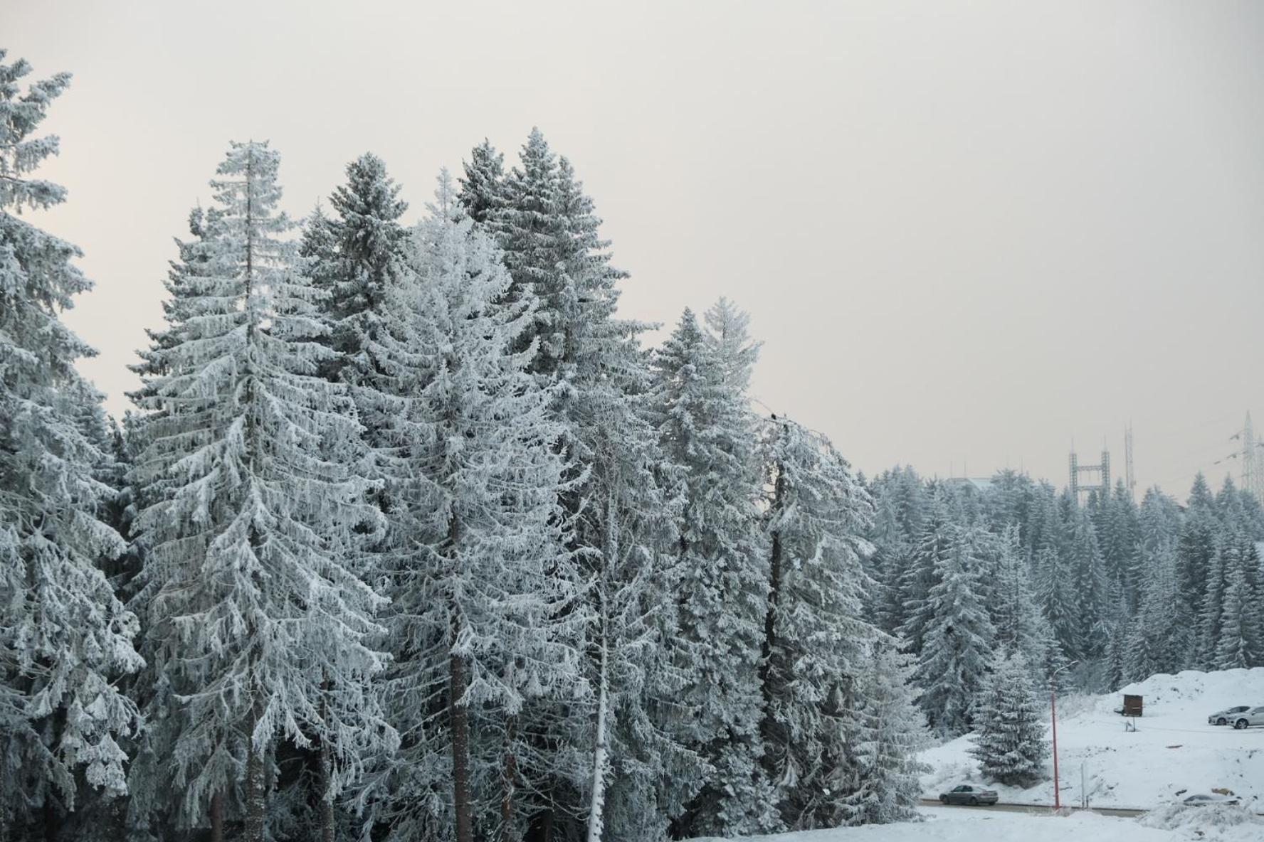 Apartments Pavle Kopaonik Bagian luar foto
